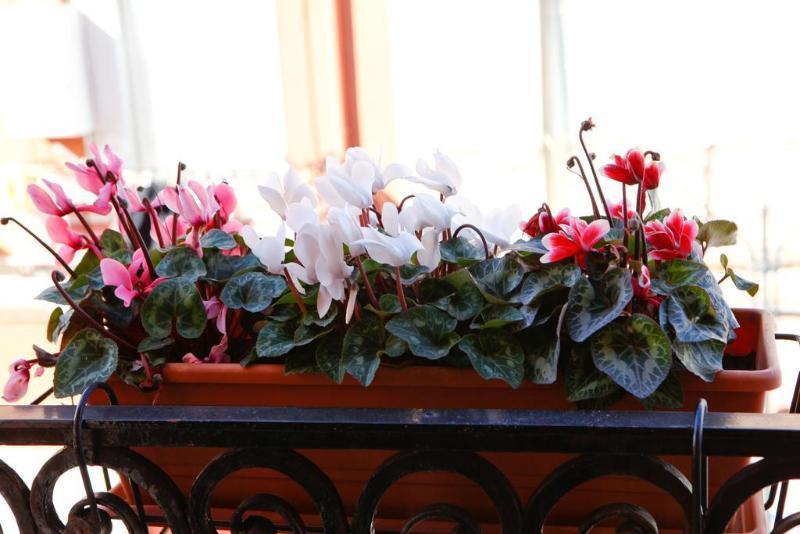 Bed&Breakfast De Nittis Barletta Exterior foto